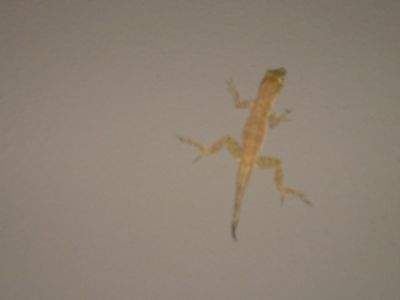 DSC00091.jpg