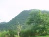 DSC00031.jpg