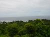DSC00047.jpg