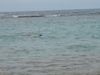 DSC00049.jpg