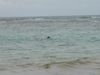 DSC00050.jpg