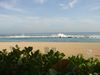 DSC00052.jpg