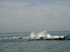 DSC00056.jpg