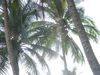 DSC00058.jpg