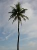 DSC00059.jpg