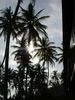 DSC00060.jpg