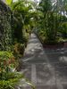 DSC00061.jpg