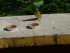 DSC00068.jpg