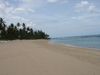 DSC00077.jpg