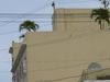 DSC00088.jpg