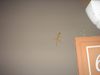 DSC00089.jpg
