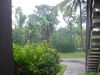DSC00095.jpg