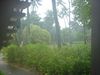 DSC00096.jpg