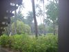 DSC00097.jpg
