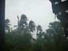 DSC00098.jpg