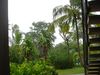 DSC00100.jpg