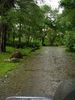 DSC00105.jpg