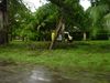 DSC00106.jpg