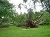 DSC00107.jpg