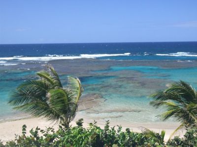 DSCF1128.jpg