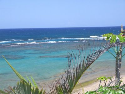 DSCF1130.jpg