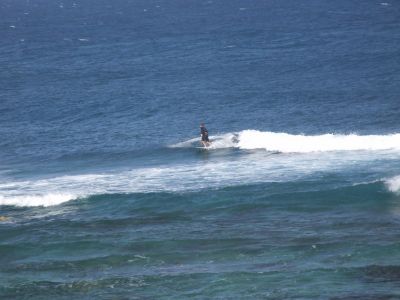 DSCF1142.jpg