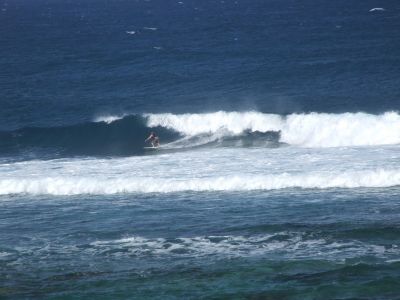 DSCF1144.jpg