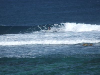 DSCF1145.jpg