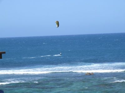 pr2009_00005.jpg
