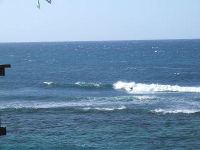 pr2009_00021.jpg