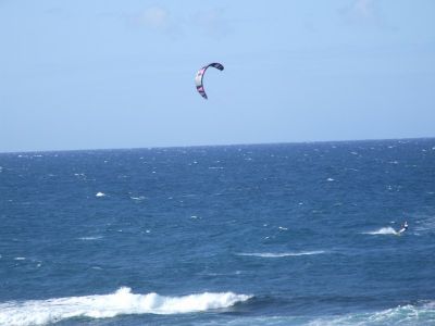 pr2009_00022.jpg
