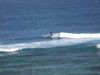 DSCF1142.jpg