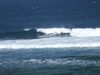 DSCF1144.jpg