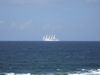 DSCF1175.jpg