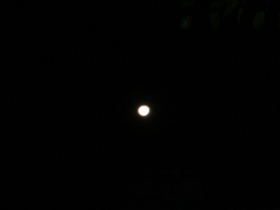 DSC00047.jpg