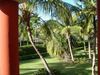 DSC00009.jpg