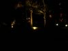 DSC00037.jpg