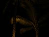 Filename=DSC00038.jpg
Filesize=45KiB
Dimensions=640x480
Date added=Mar 11, 2018 DSC00038.jpg
