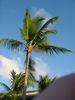 Filename=DSC00086.jpg
Filesize=60KiB
Dimensions=360x480
Date added=Mar 11, 2018 DSC00086.jpg