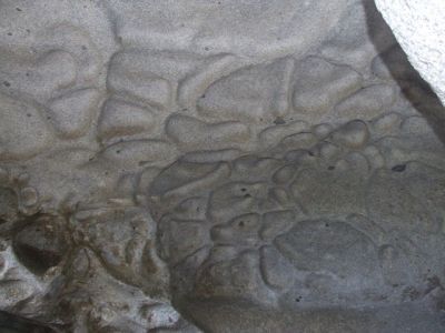 DSCF1311.jpg