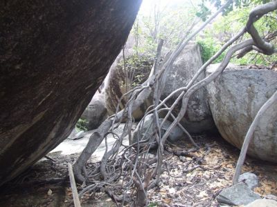DSCF1313.jpg