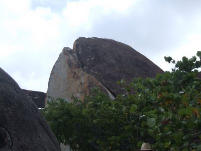 DSCF1317.jpg