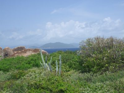 DSCF1330.jpg