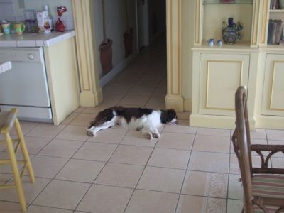 DSCF1336.jpg