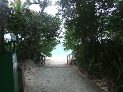 DSCF1358.jpg