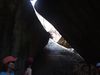 Filename=DSCF1297.jpg
Filesize=55KiB
Dimensions=640x480
Date added=Mar 11, 2018 DSCF1297.jpg