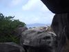 Filename=DSCF1309.jpg
Filesize=77KiB
Dimensions=640x480
Date added=Mar 11, 2018 DSCF1309.jpg