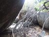 Filename=DSCF1313.jpg
Filesize=131KiB
Dimensions=640x480
Date added=Mar 11, 2018 DSCF1313.jpg