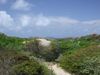 Filename=DSCF1331.jpg
Filesize=80KiB
Dimensions=640x480
Date added=Mar 11, 2018 DSCF1331.jpg