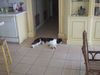 DSCF1336.jpg